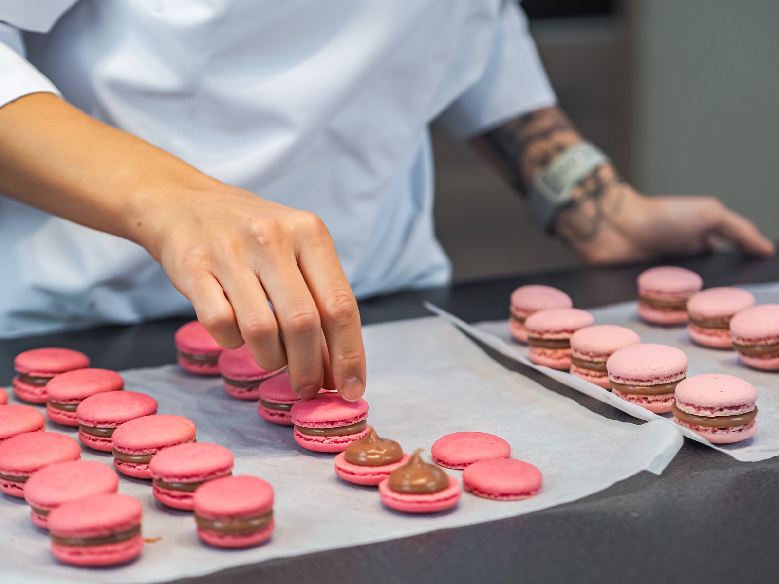 Vegan Pastry Academy - pastry lab